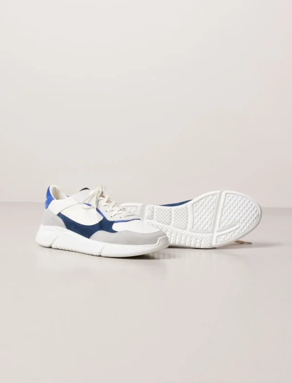 Pied de Biche Sneakers>Tom Bleu Electrique